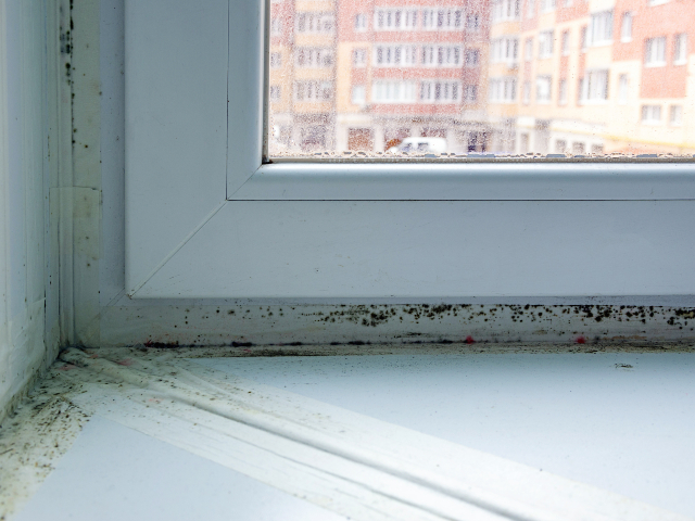 Humidité autour des fenêtres : quelles solutions ? 